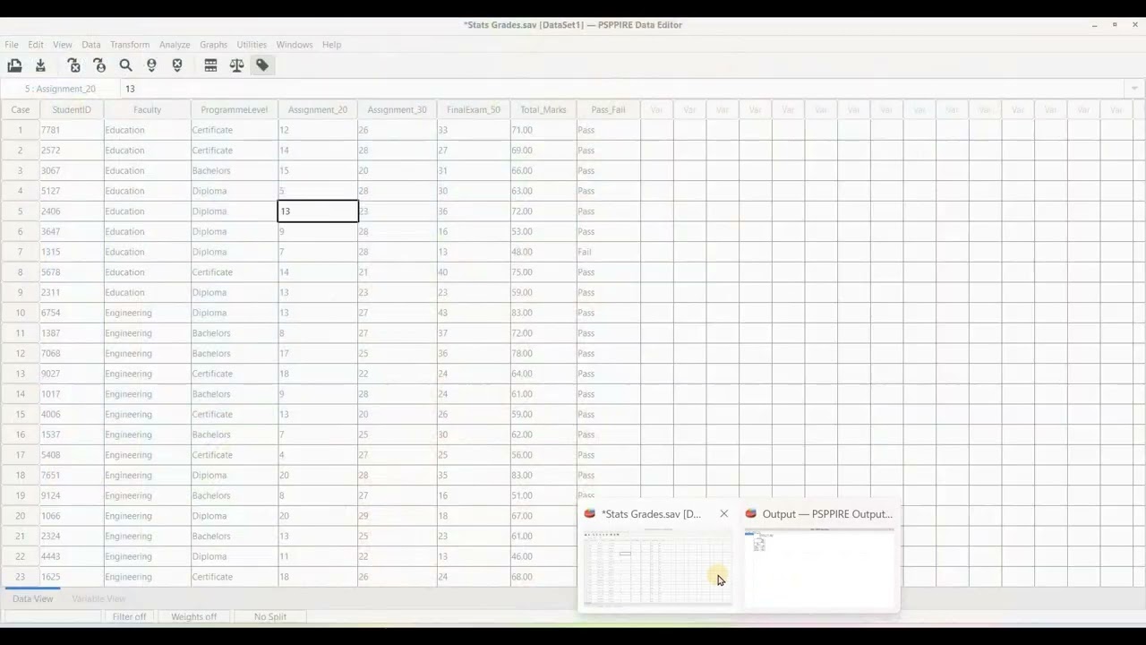PSPP - Split File