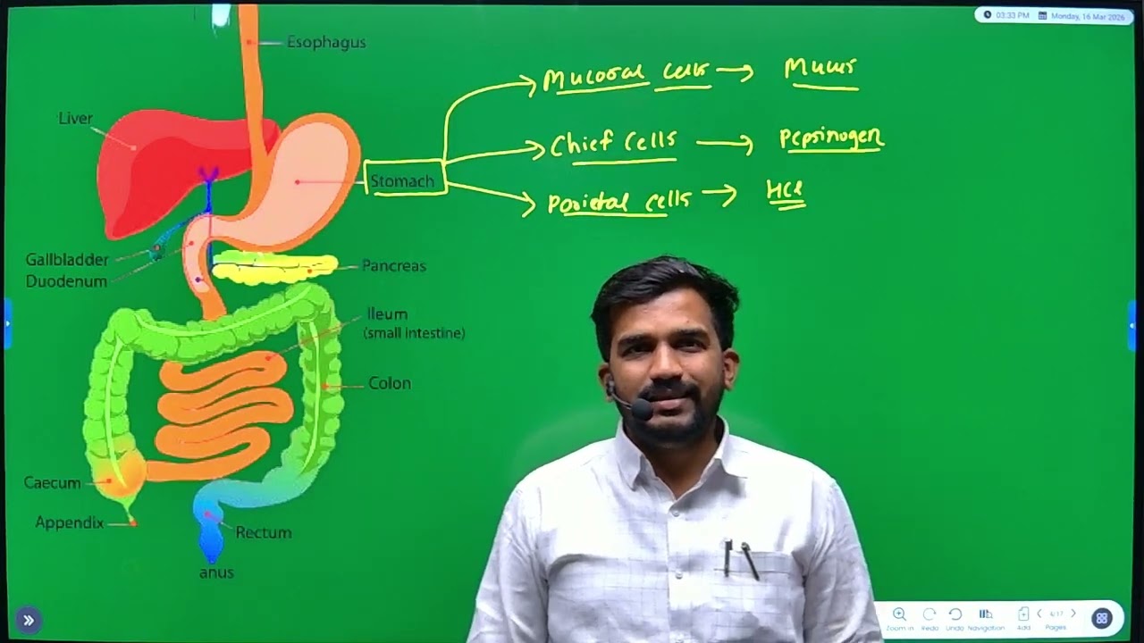 MHT-CET 2026 | Biology | Human Nutrition | Part - 2 | Full Crash Course @Dnyanganga Education