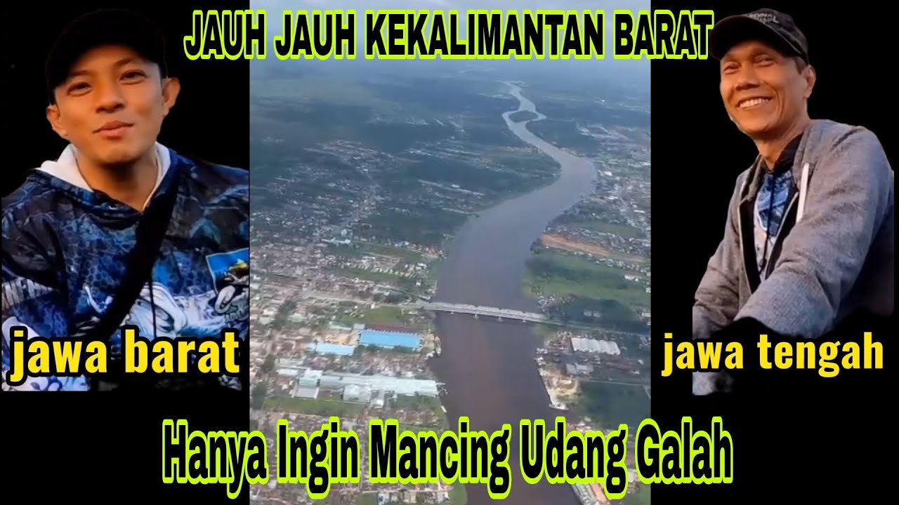DARI JAWA BARAT/JAWA TENGAH‼️ DATANG KEKALIMANTAN BARAT HANYA INGIN MERASAKAN TARIKAN UDANG GALAH