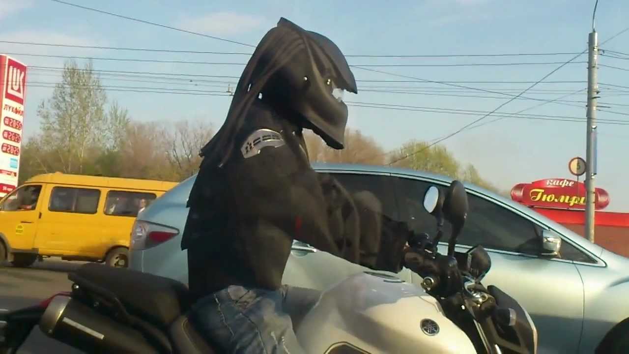 Хищник в Челябинске