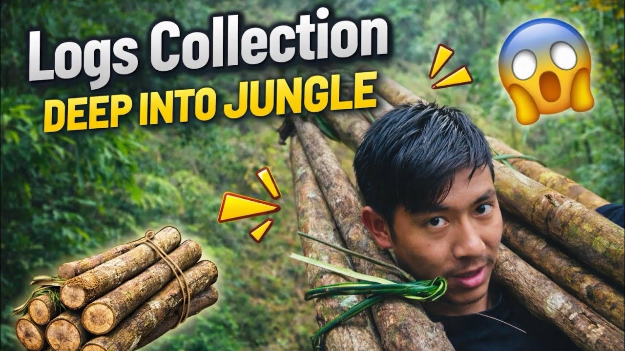 Logs Collection deep into Forest..