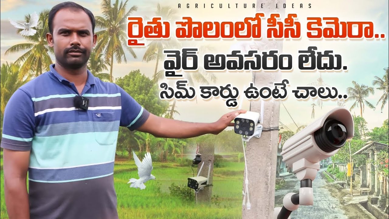Agriculture Cc Camera | Farmer Field Security Wifi Camera |రైతు పొలంలో సీసీ కెమెరా |Shiva Agriclinic