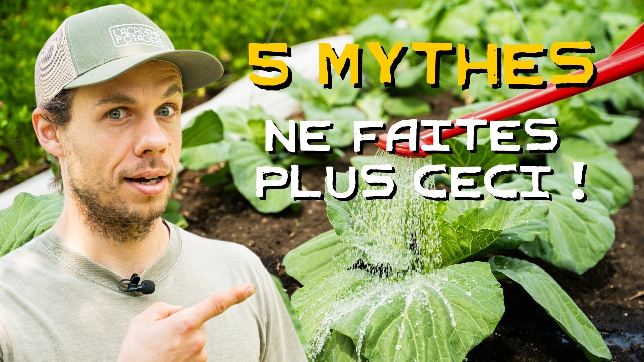 5 mythes &agrave; d&eacute;masquer