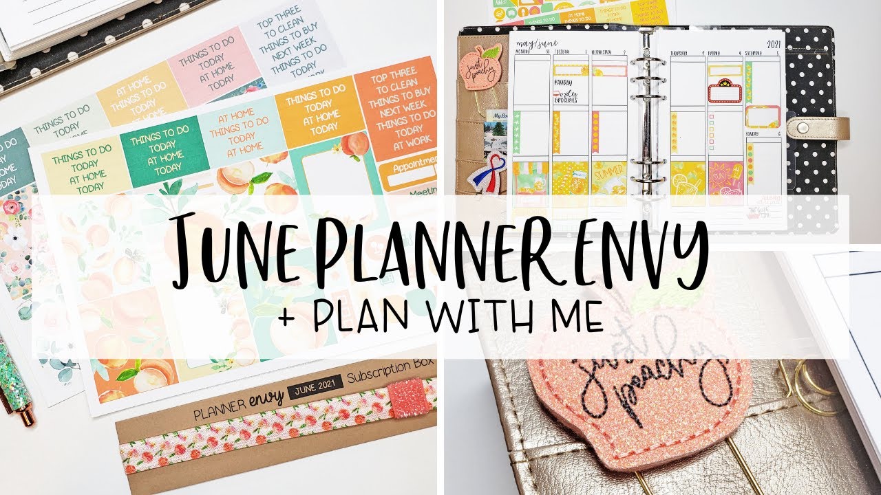 June Planner Envy Plan With Me + Unboxing