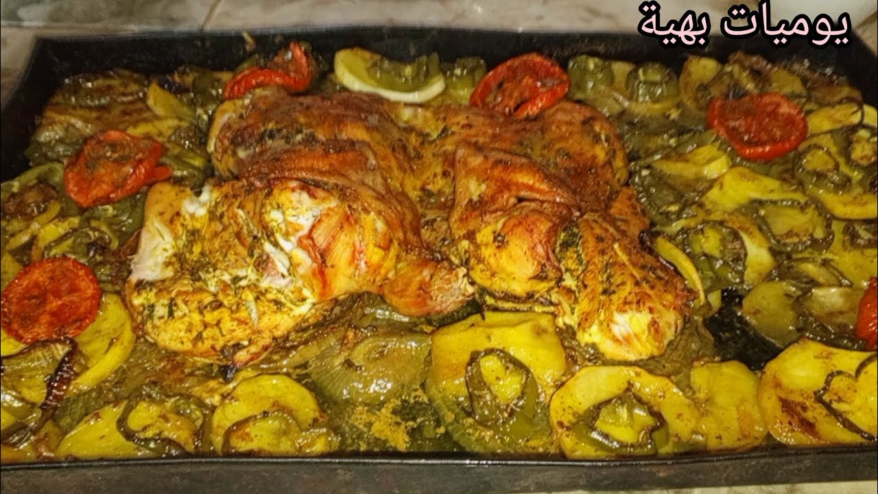 اجواء جني الزيتون بالبادية... البساطه والضحك والطبيعه كتشهي🫒