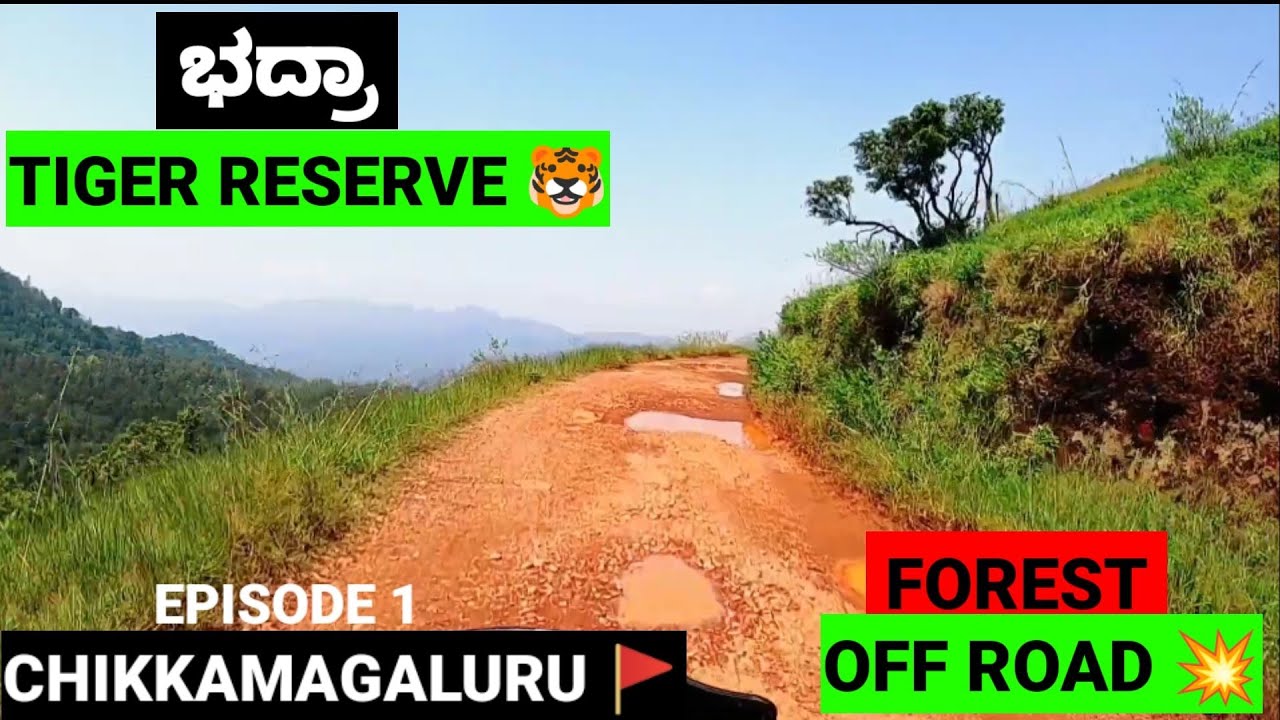 ಹುಲಿ ನೋಡುವ ಆಸೆ ಇದೆ😁 ಹಾಗೆ ಅದು ಸಿಕ್ಕರೆ ನಾವು ಮೇಲಕ್ಕೆ ಹೋಗೋದು ಪಕ್ಕಾ ಇದೆ 🤣🤣 #chikmanglore #kemmangundi