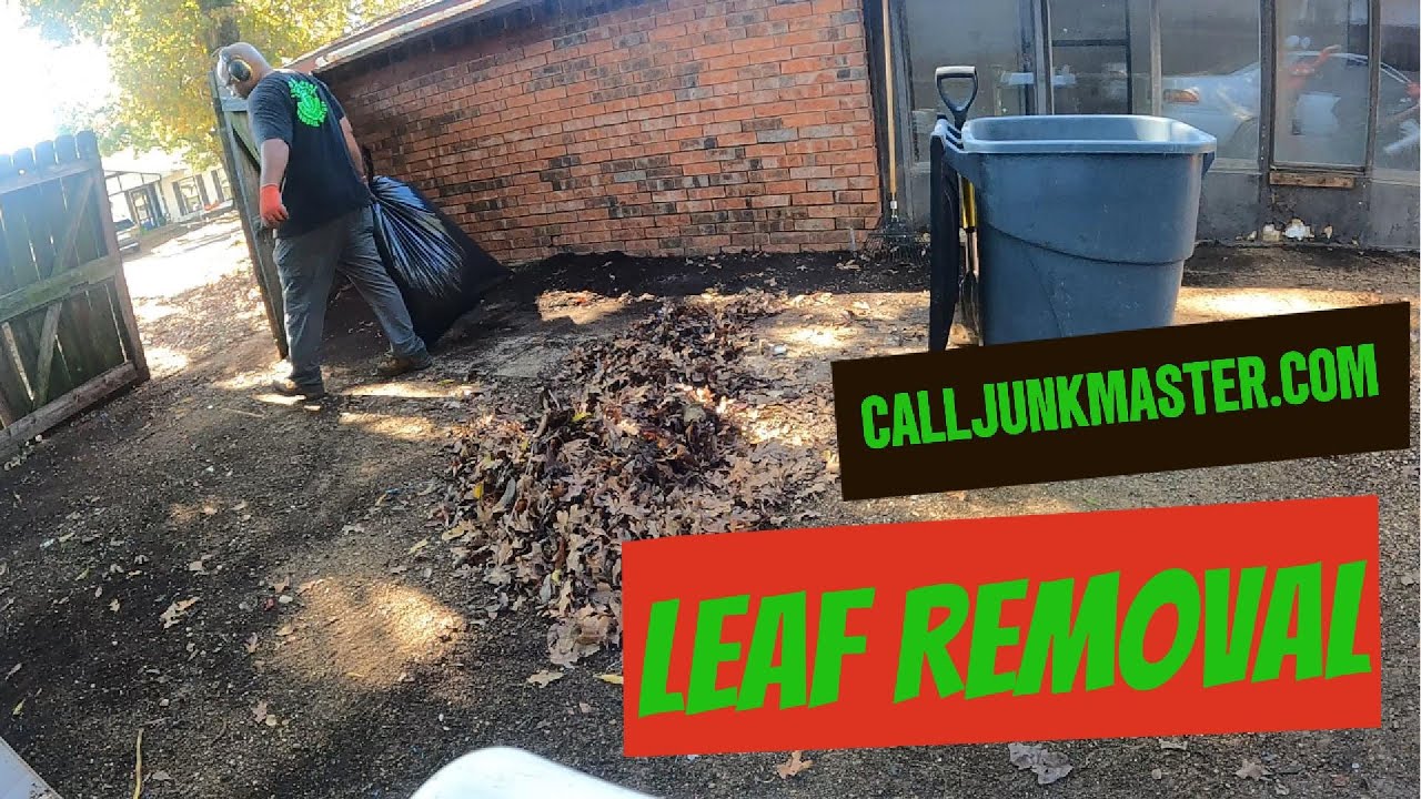 Yard Debris Junk Removal