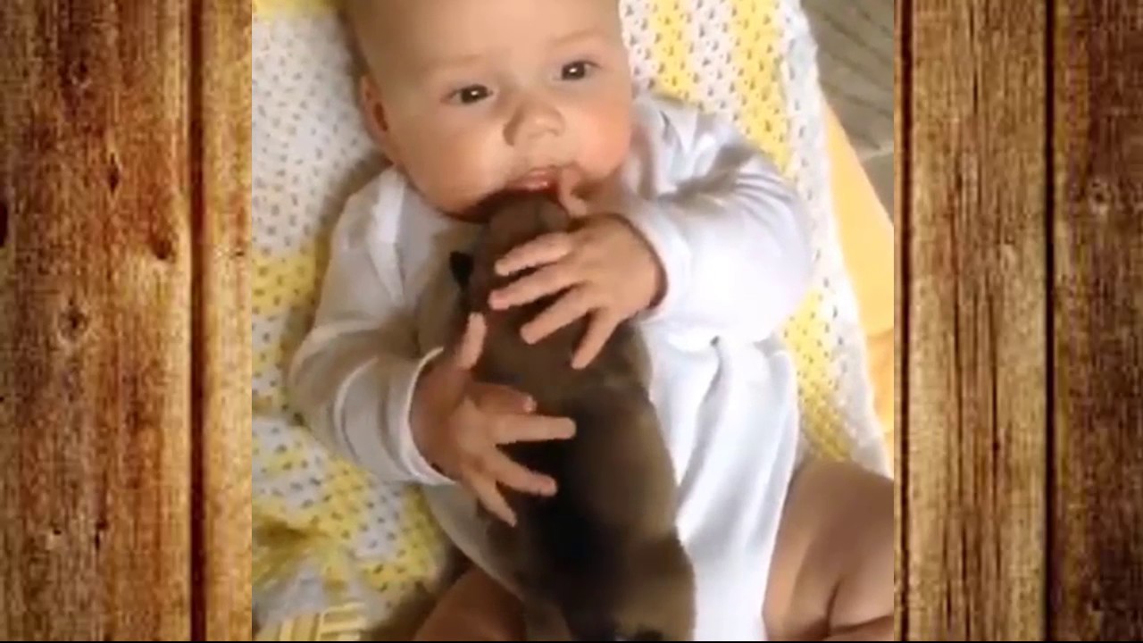 Cute Babies Sleeping With Dogs - Dog Loves Baby Videos 2017