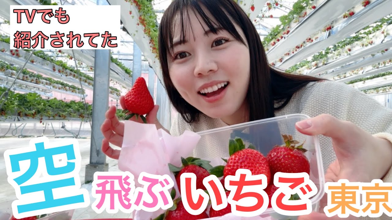 有名人も行く！大人気「空飛ぶいちご東京」にいってきた