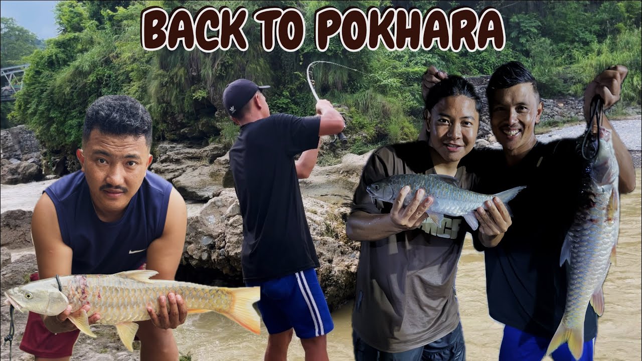 POKHARA MAI PARYO GOLDEN MASHEER 😱 @sushilgurung192 @santosh-l2o3p 