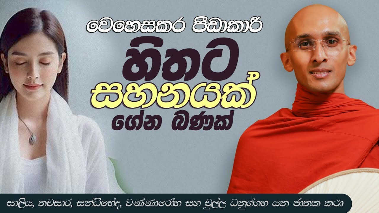 184. හිතට සහනය ගේන බණක් | චුල්ල ධනුග්ගහ ජාතකය | 2023-11-25