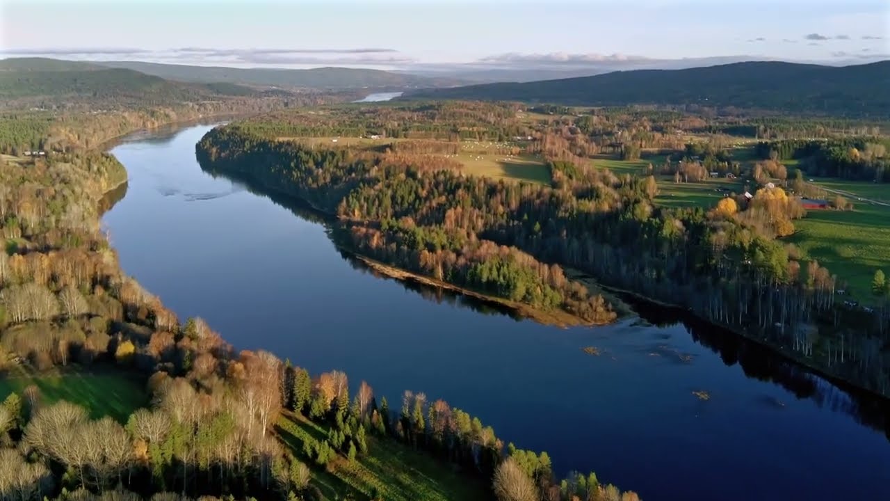 Autumn 2024 near Sollefteå/Västernorrland, Sweden