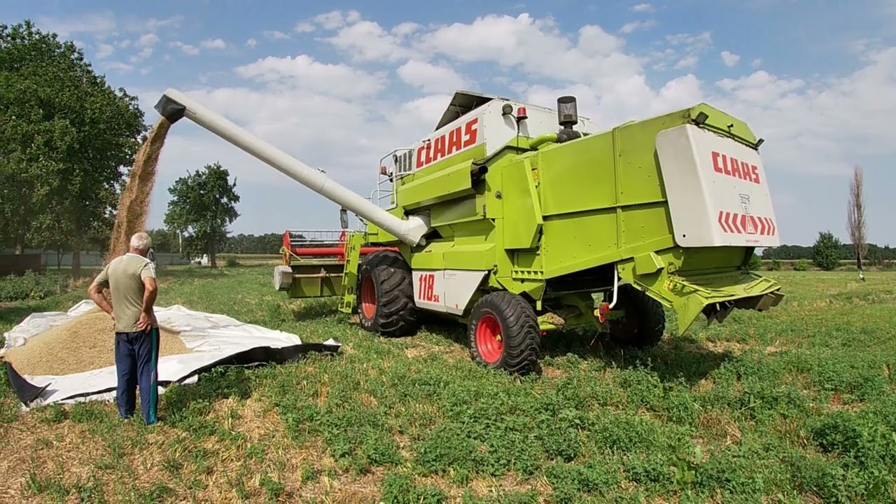 Уборка вівса Clas dominator 118 sl maxi