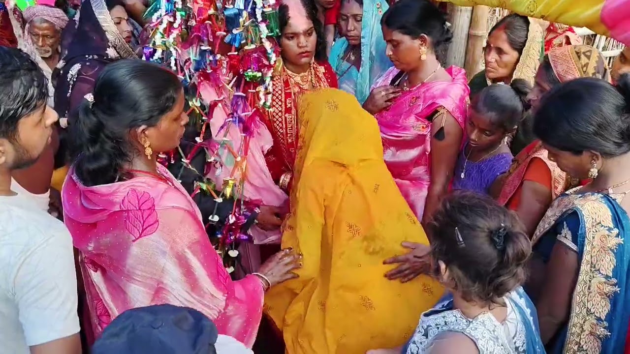 ❤️❤️🎉🎉इन दोनों का जोड़ी कैसा है कृपया @कमेंट में बताएं 🌹🌹🌹
