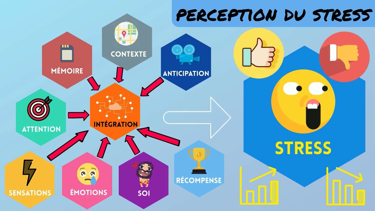 Stress et sport : stress négatif VS stress positif