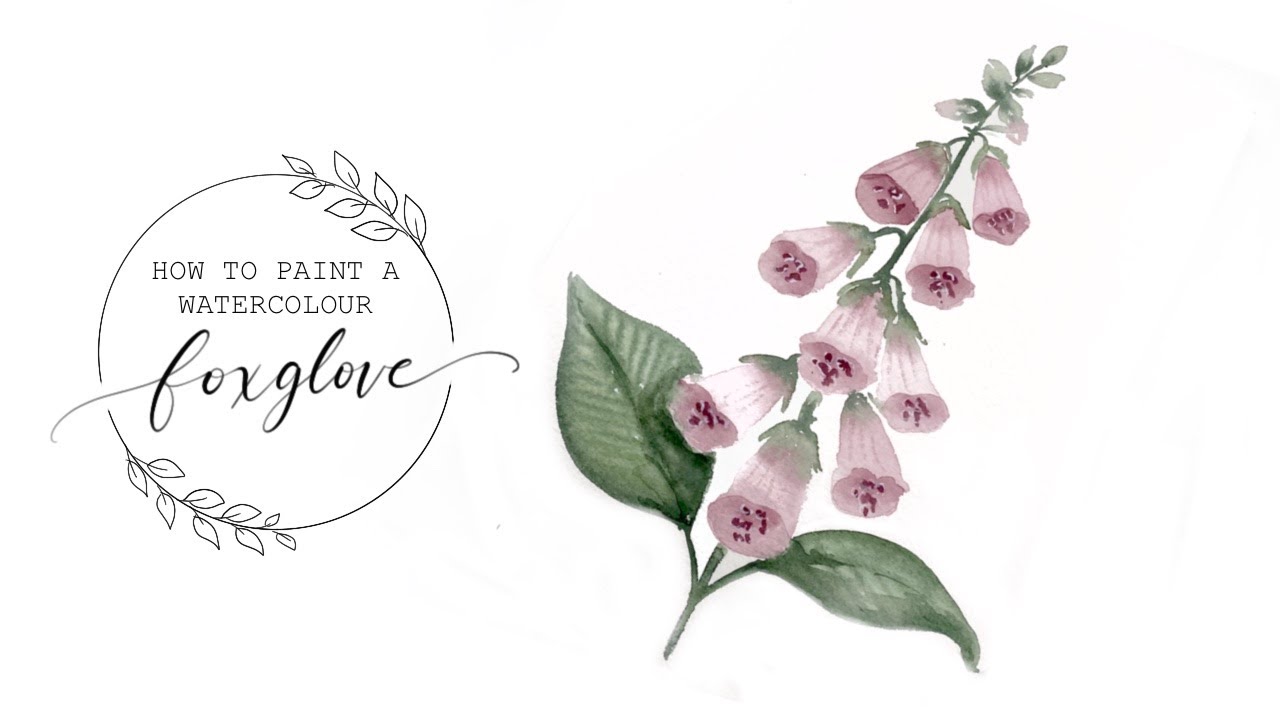 Watercolour Foxglove