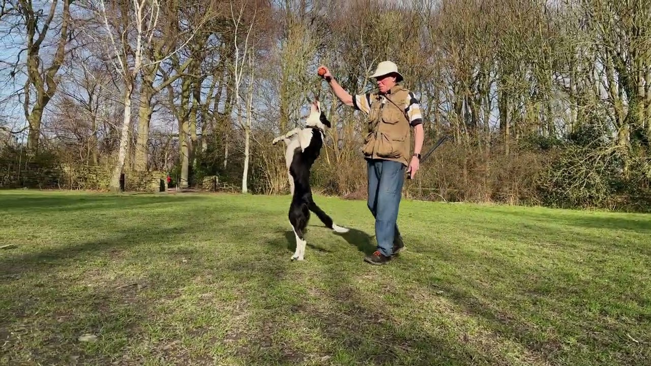 Bolt training 9 March 2025