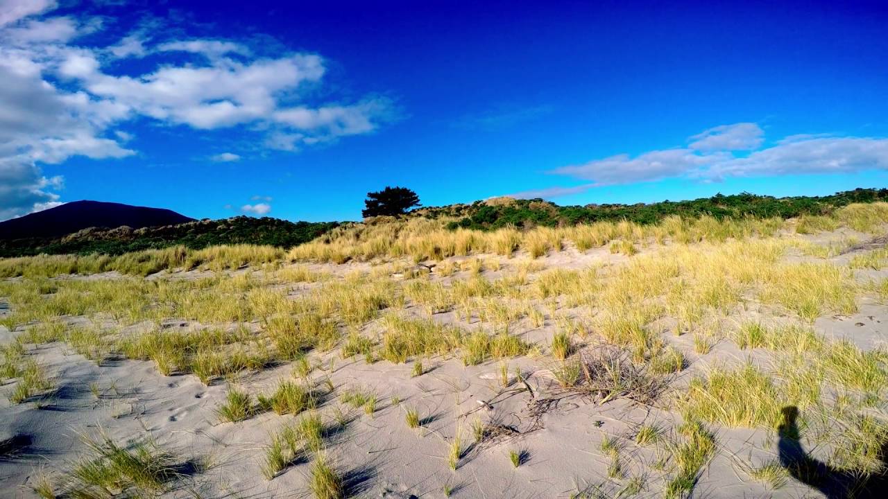allans beach