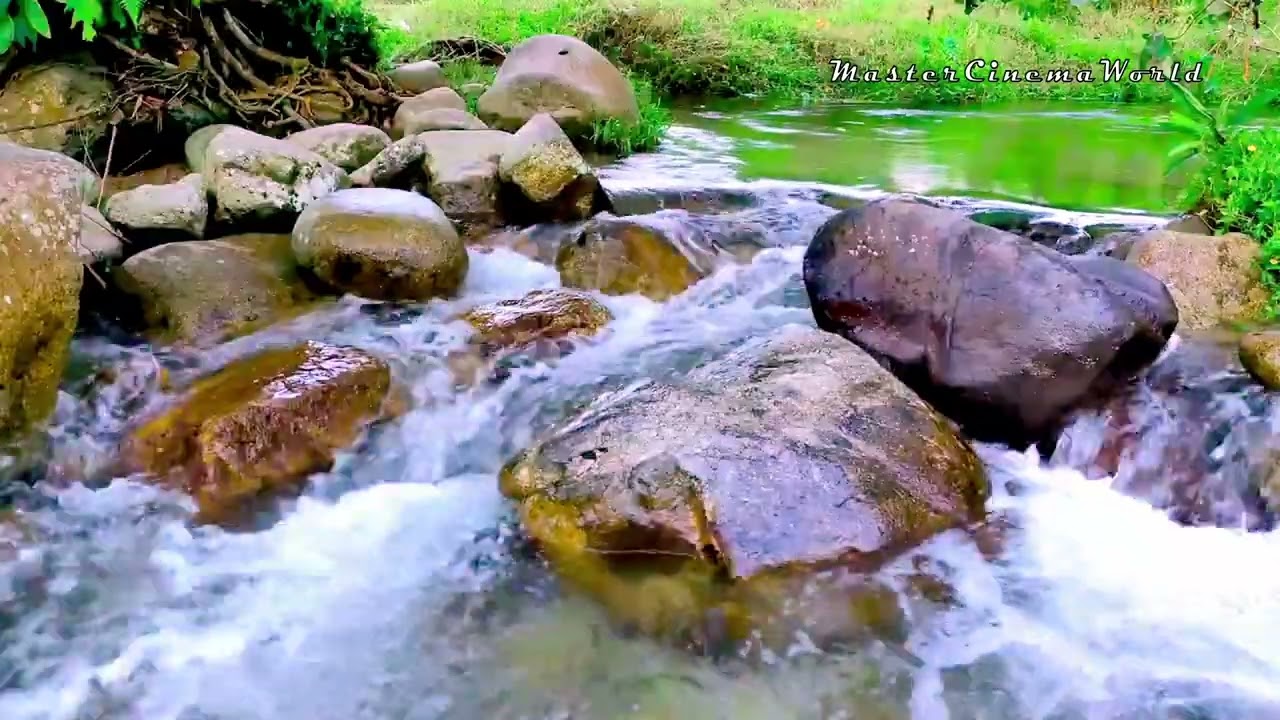 EIN BACH IM PF&Auml;LZERWALD. ECHTE NATUR MIT ALLEN GER&Auml;USCHEN. LASSEN SIE SICH ENF&Uuml;HREN IN DIE NATUR.