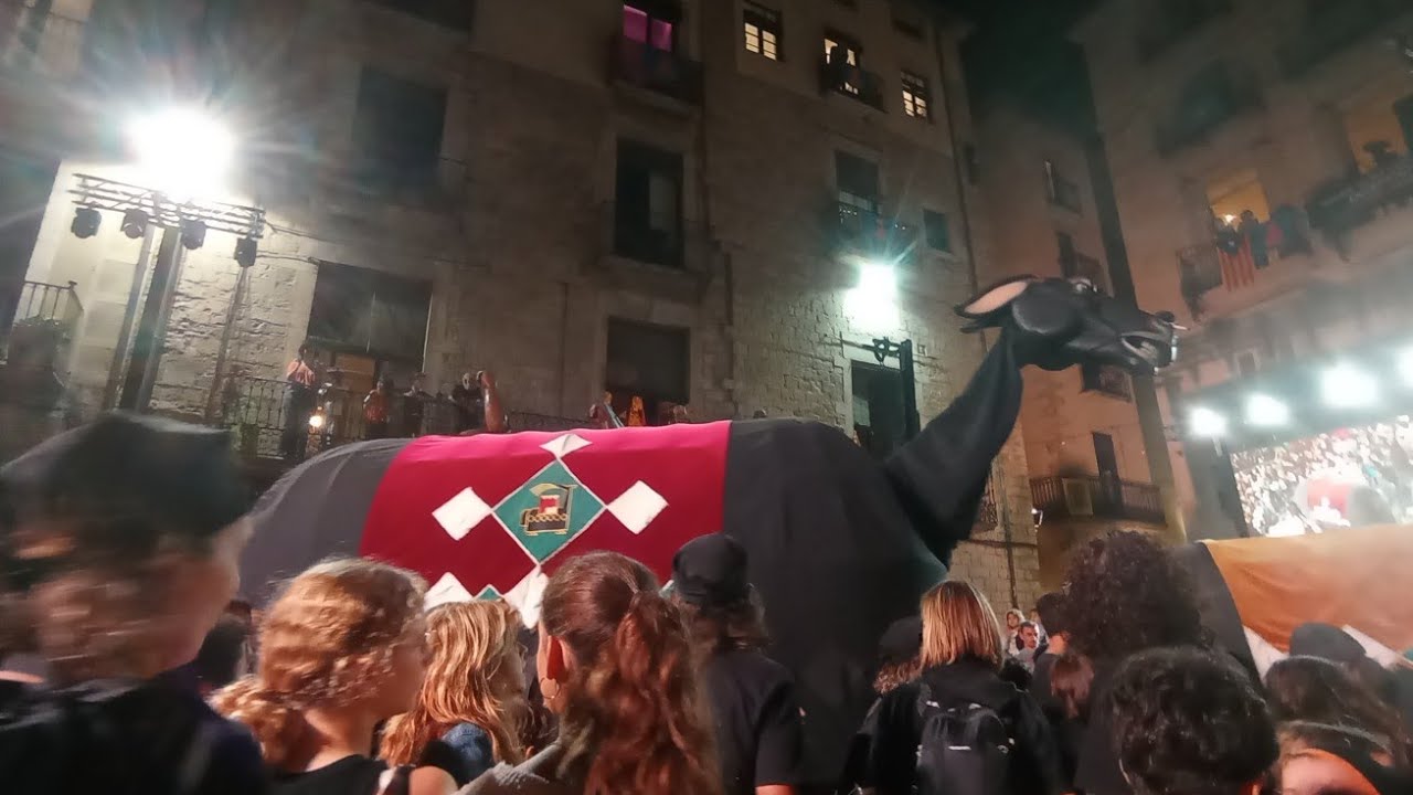 Mula baba de Girona al preg&oacute;.|Fires de Sant Narc&iacute;s 2022|