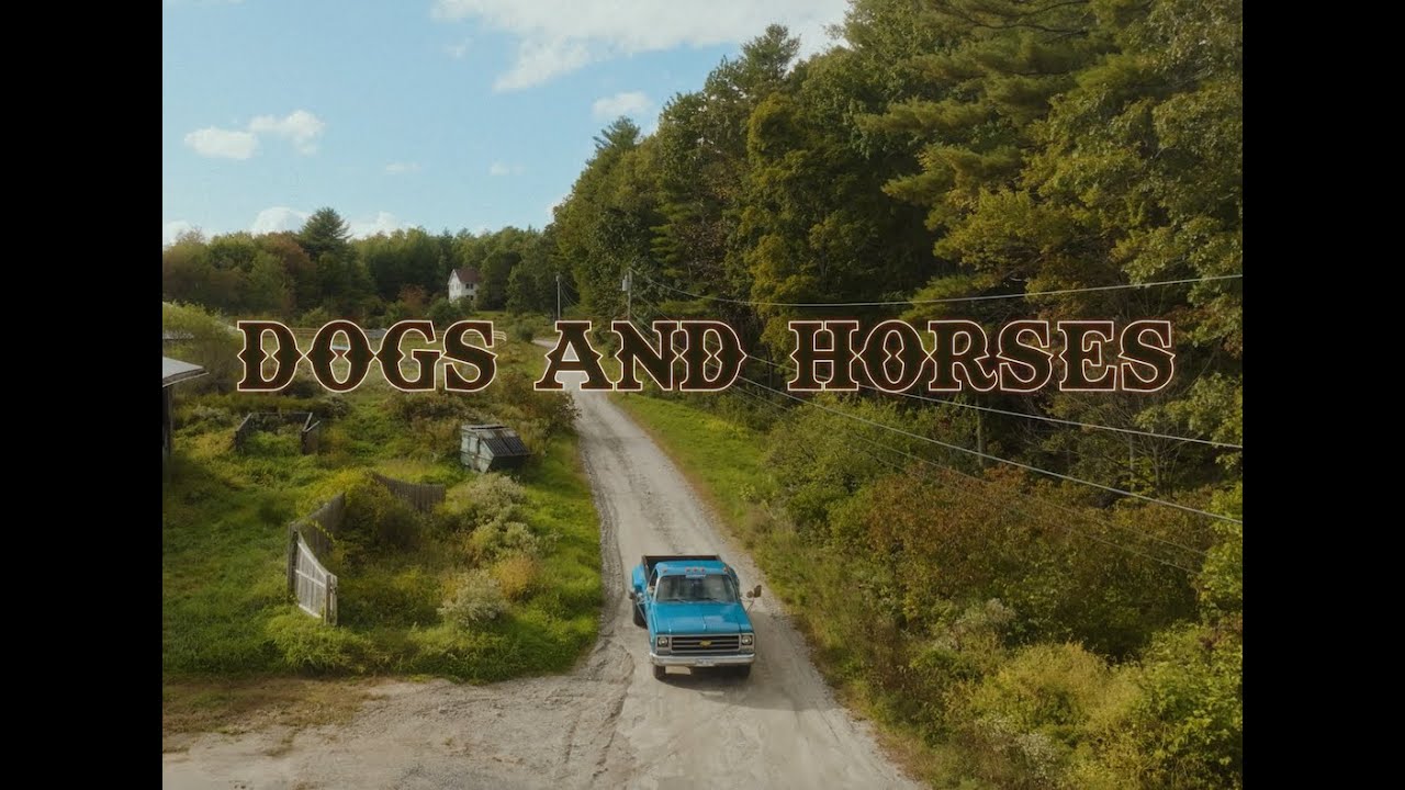 The Mallett Brothers Band - Dogs and Horses (Official Music Video)
