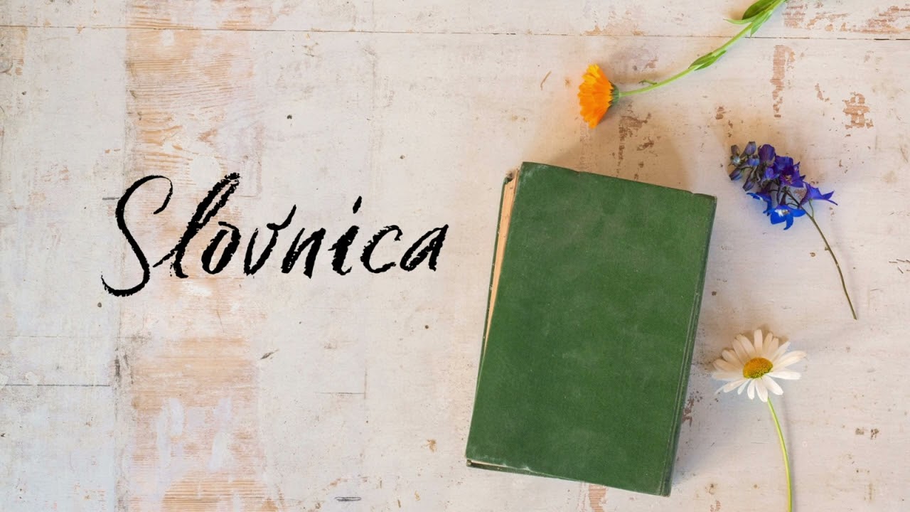 SLOVNICA - Školski esej na državnoj maturi