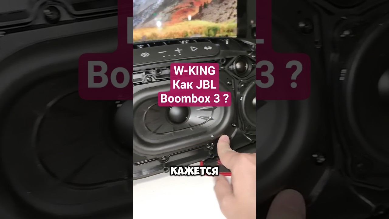 Купили новый w-king x20, а колонка не включается