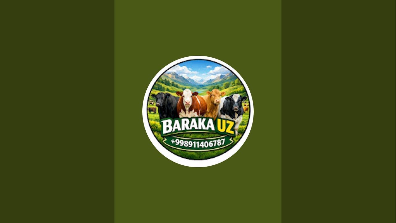 BARAKA UZ. efirda! 94.109.0603.
