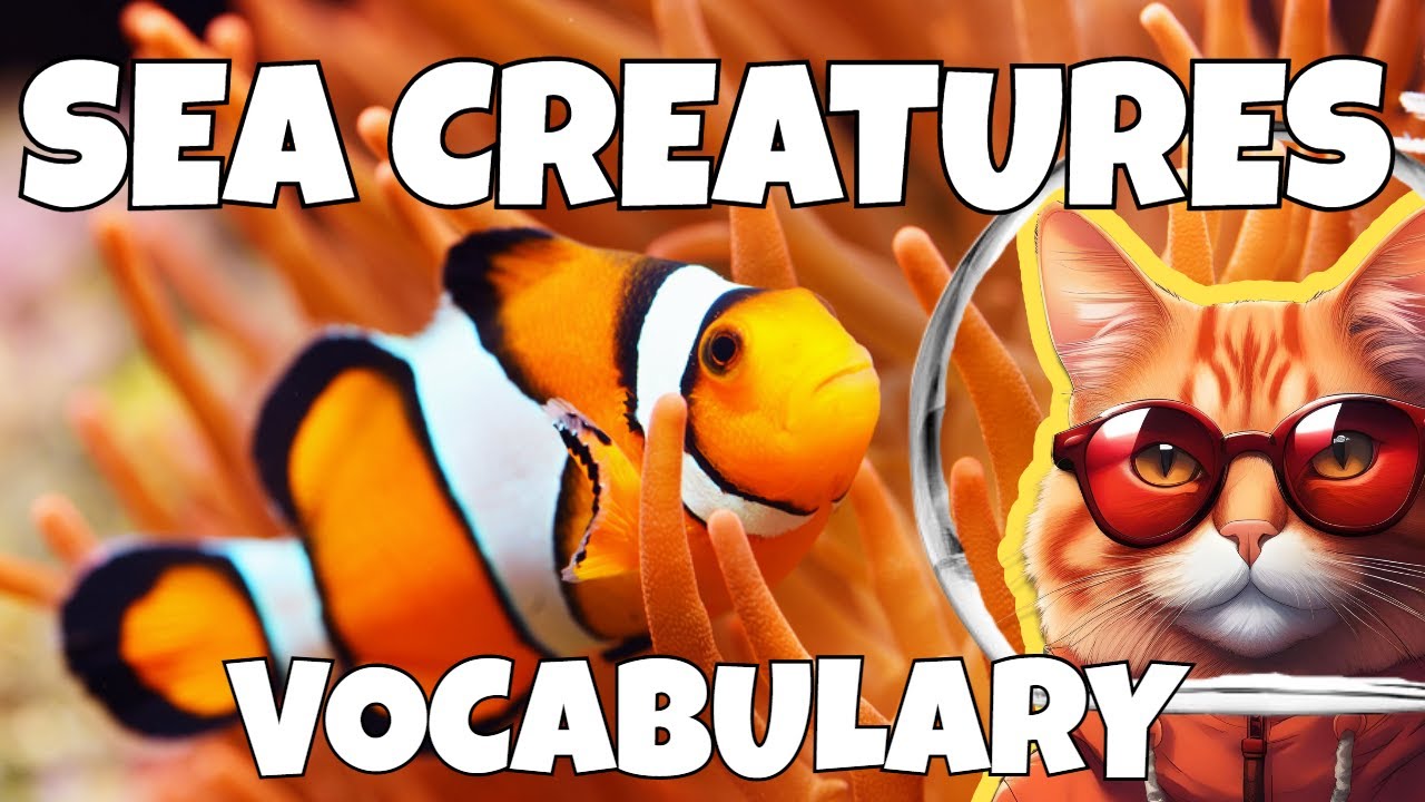 Sea Creatures Vocabulary | American English School For Kids - Cool Cat World