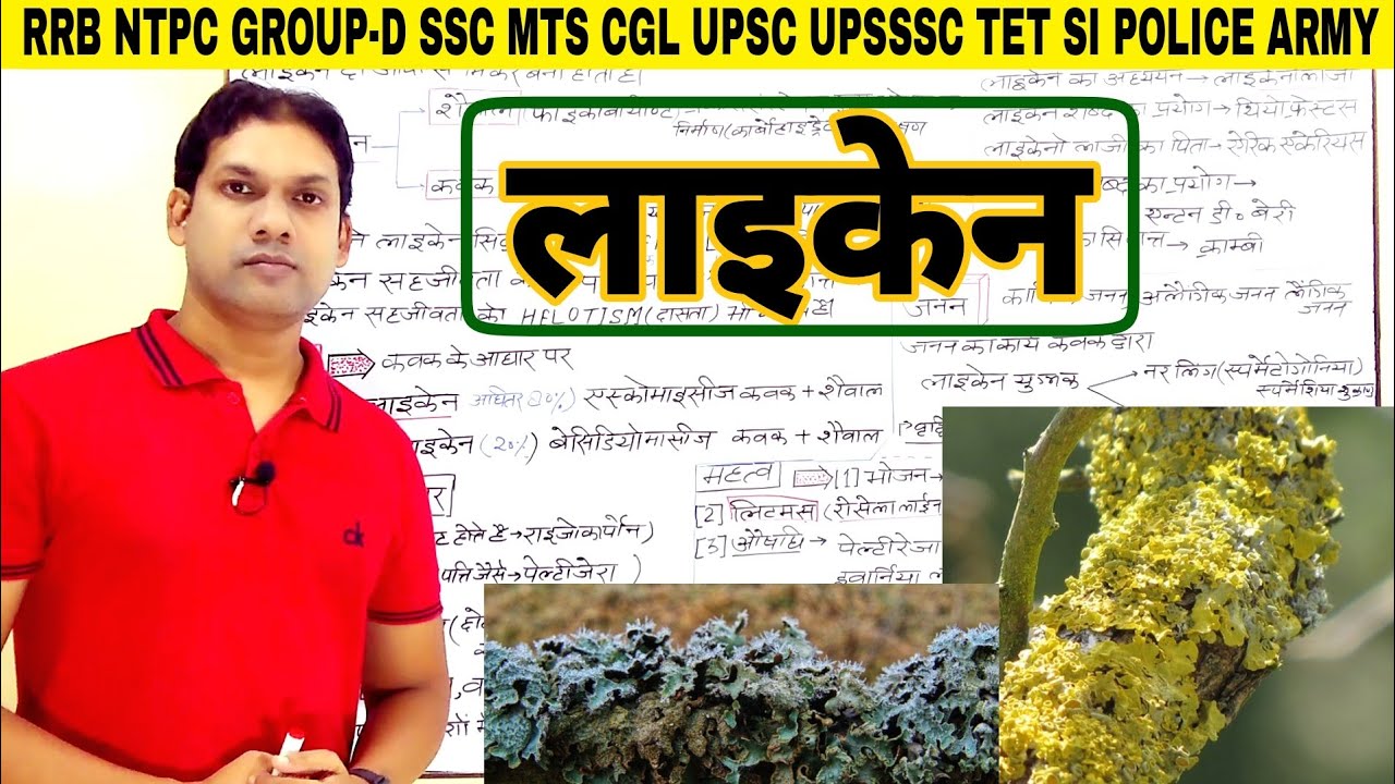 लाइकेन क्या हैं|Lichens|what is lichens|लाइकेन के आर्थिक एवं पर्यावरणीय महत्त्व|biology by Gk Azim