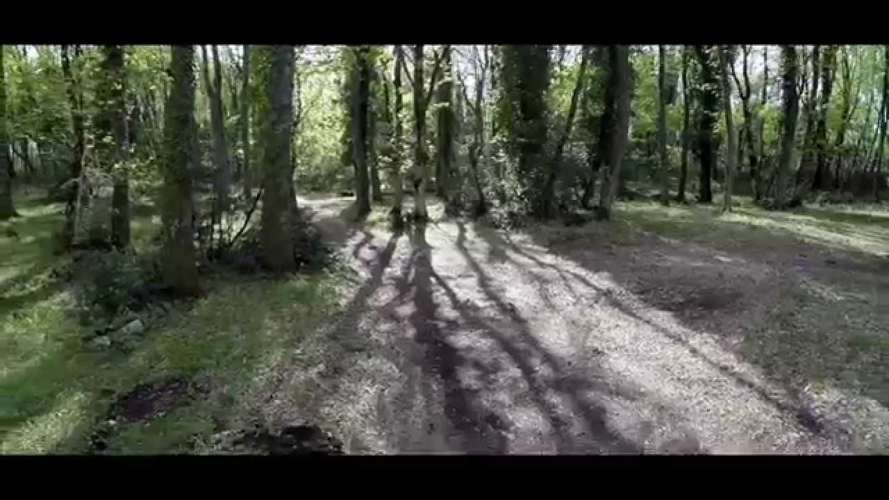 Bosco Quarto - Monte Sant'Angelo