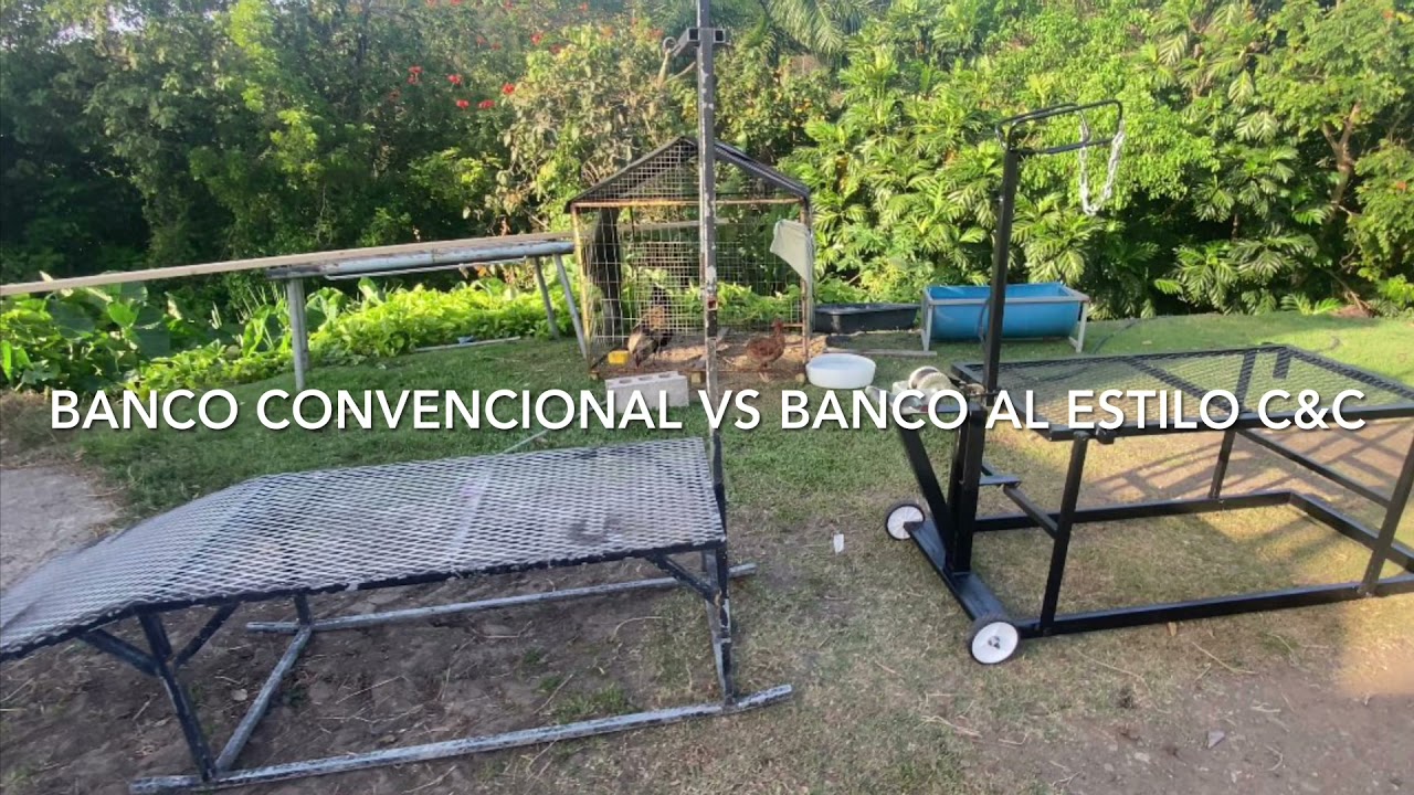 Banco para esquilar ovejas