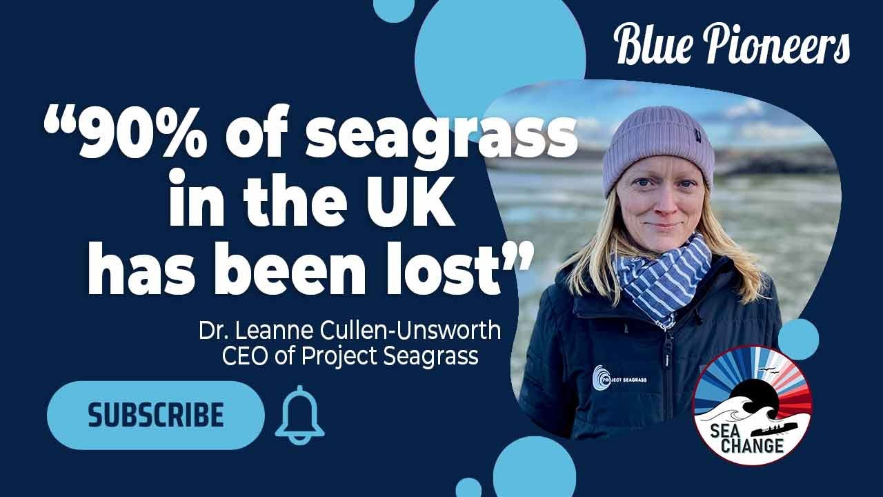 Restoring Lost Seagrass Meadows Along the UK Coastline with Project Seagrass