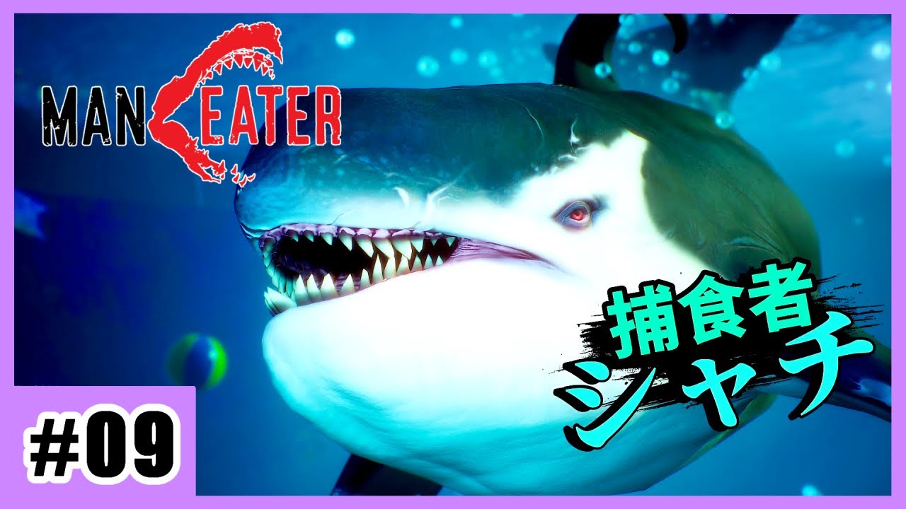 こちらは上限を迎えているのにこのレベル差はズルい…【Maneater】#09