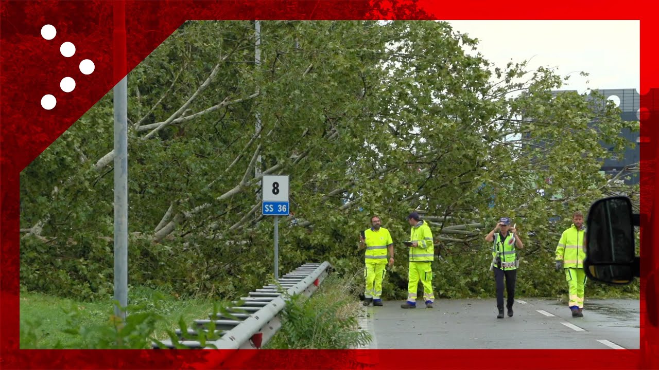 Nuova ondata di maltempo al Nord: alberi abbattuti a Cinisello Balsamo (MI)