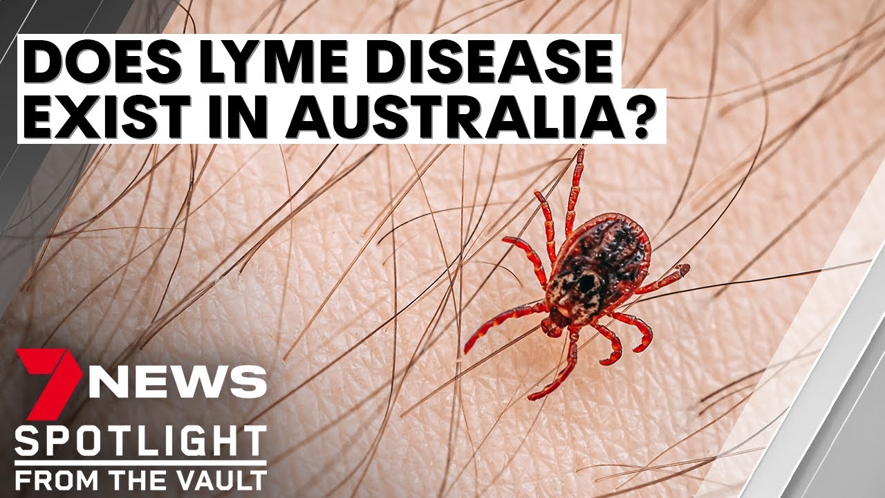 Lyme disease debate: experts divided on whether it exists in Australia | 7NEWS Spotlight