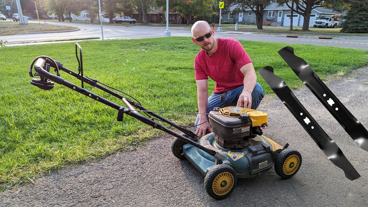 Make SURE to do This for Your First Cut After Overseeding