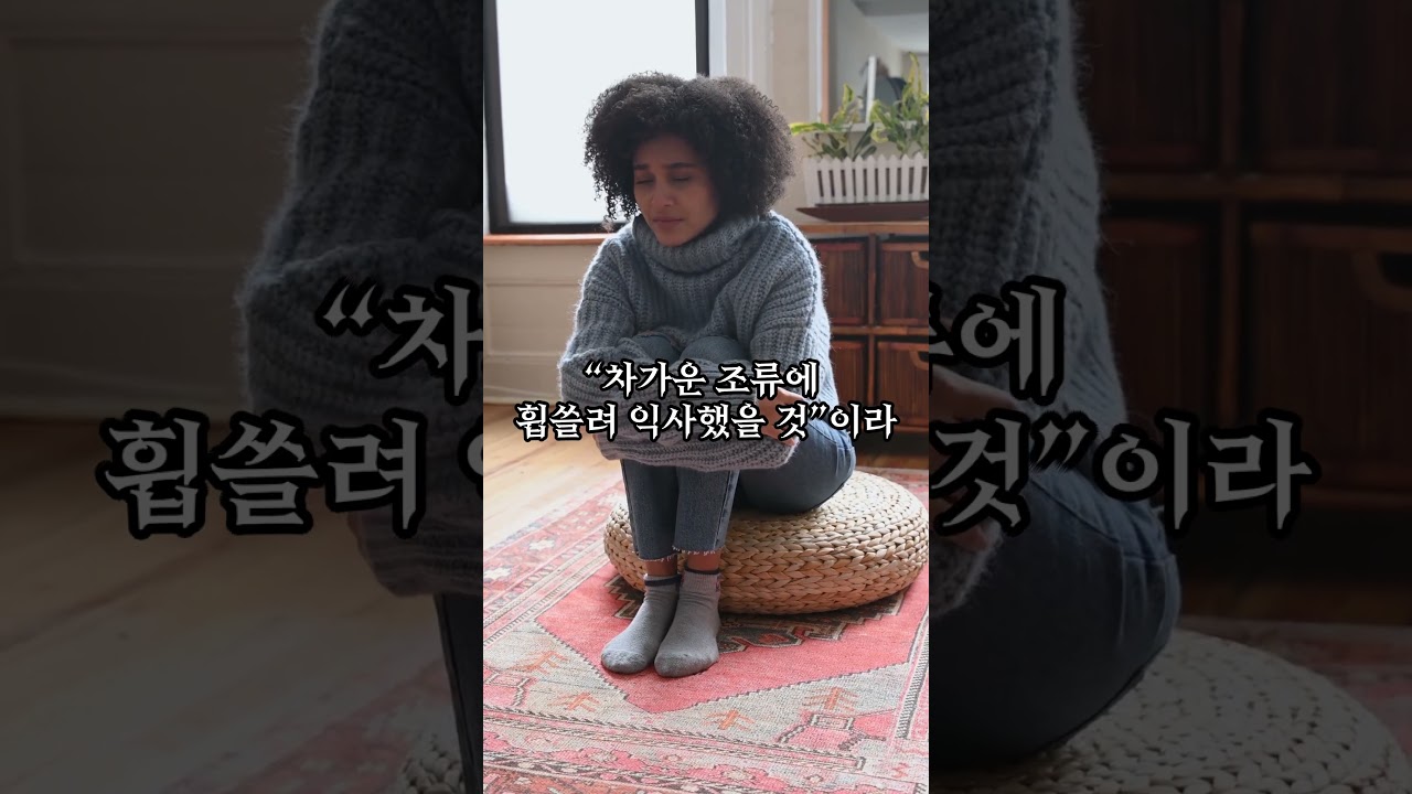🌓 탈출 불가능한 감옥에서 사라진 남자들  알카트라즈 탈옥 미스터리