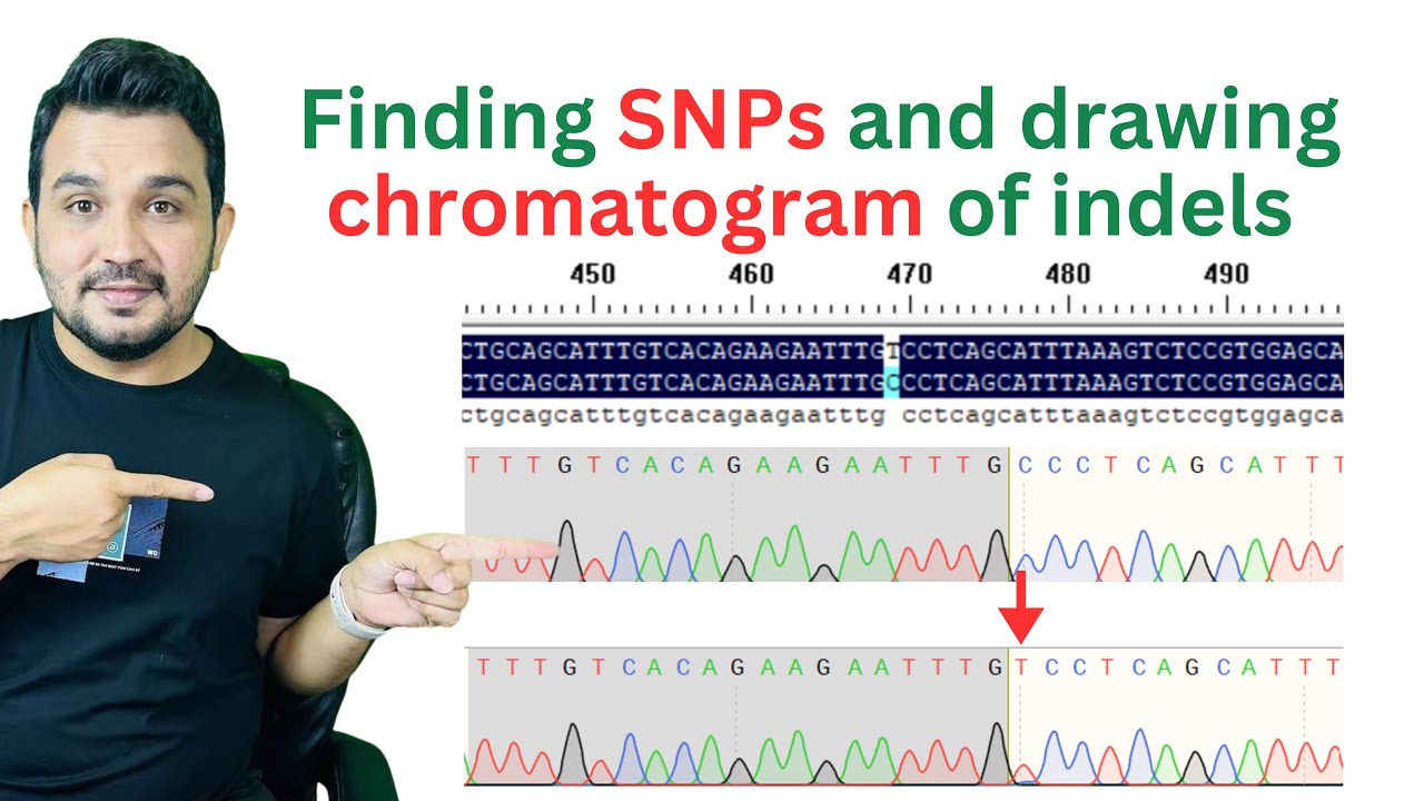 How to find SNP and draw a chromatogram of Indels mutations