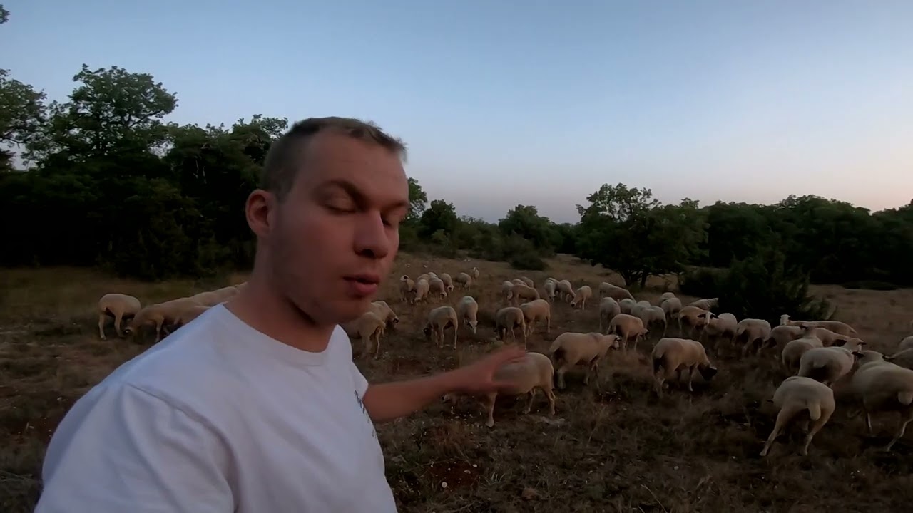 [GoPro&Nikon] Un été 2022 à la ferme mémorable et à oublier!