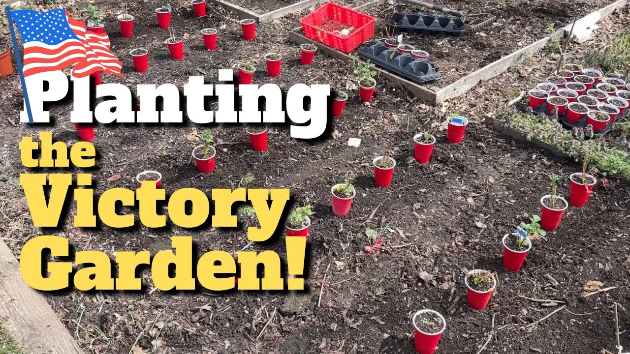 Starting the Victory Garden