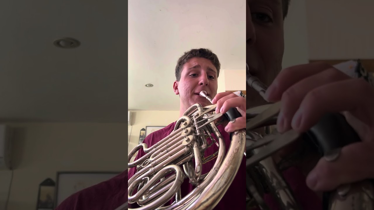 Lev Kogan- Kaddish. Shem Efron. French horn.