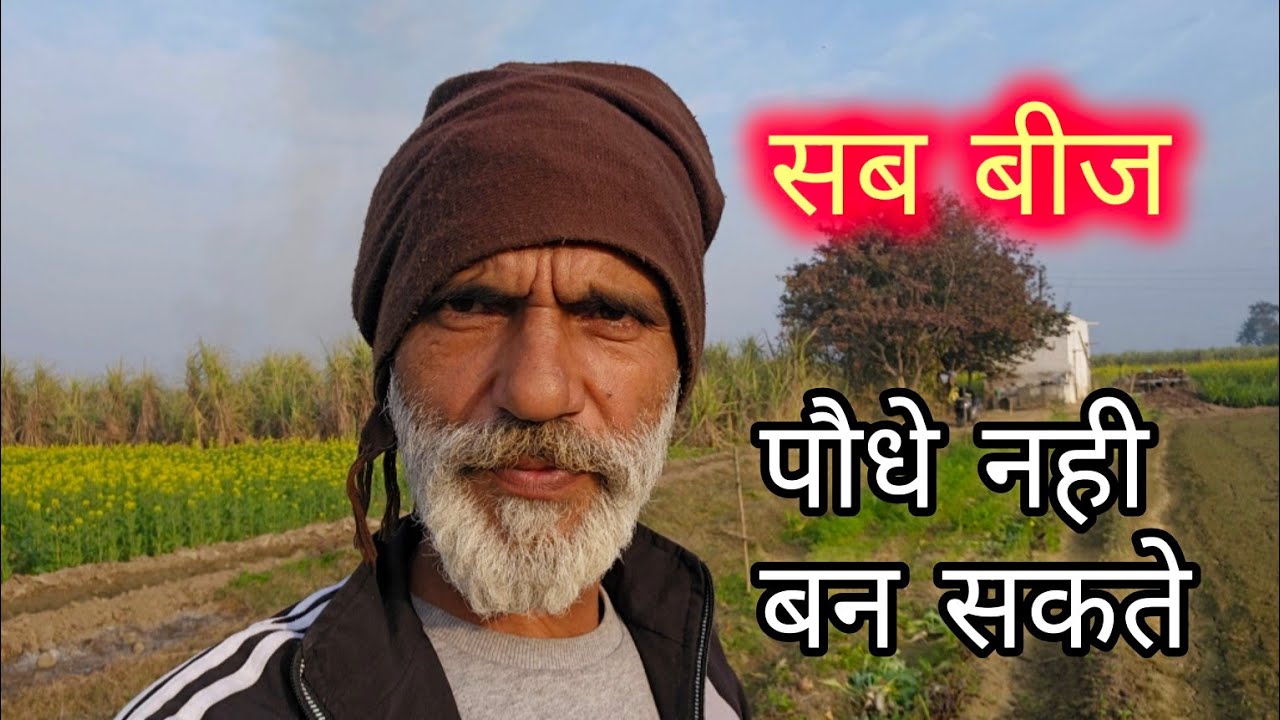 सब बीज पौधे नही बन सकते, घबराओ मत मेरे प्यारों, संघर्ष ही जीवन है, जिओ शान से,,, योगेंद्र सहरावत,,,