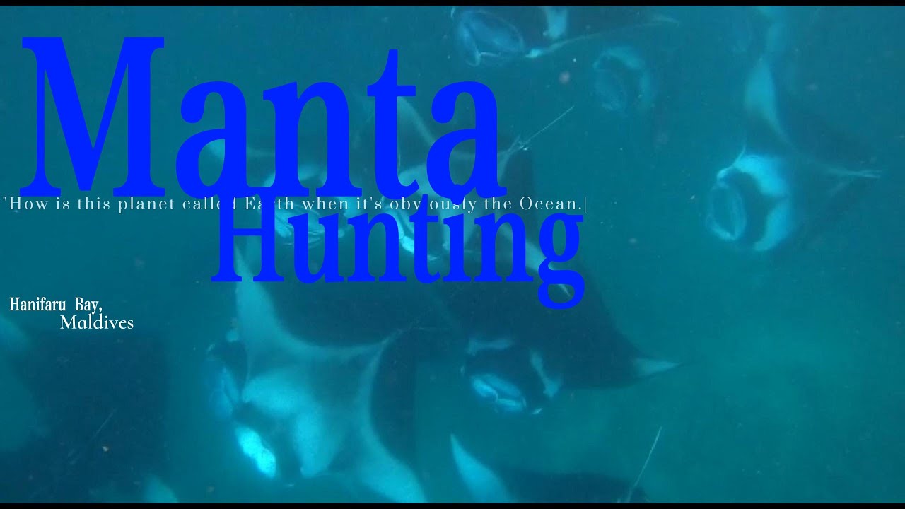 Hanifaru Bay Manta Hunting | Koba Madi | 2022 July Hanifaru & Dharavandhoo Manta Snorkeling Trip