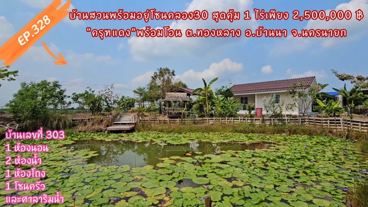 EP.328 บ้านสวนพร้อมอยู่ 1ไร่เพียง 2,500,000 ฿ โฉนด