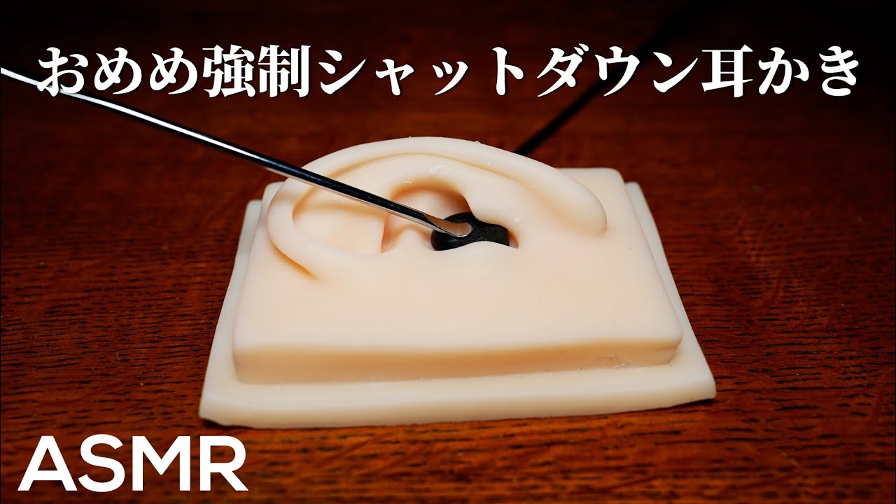ASMR 並の人なら目を開けていられないステンレス耳かき Ear Cleaning with Stainless Earpick (No Talking)