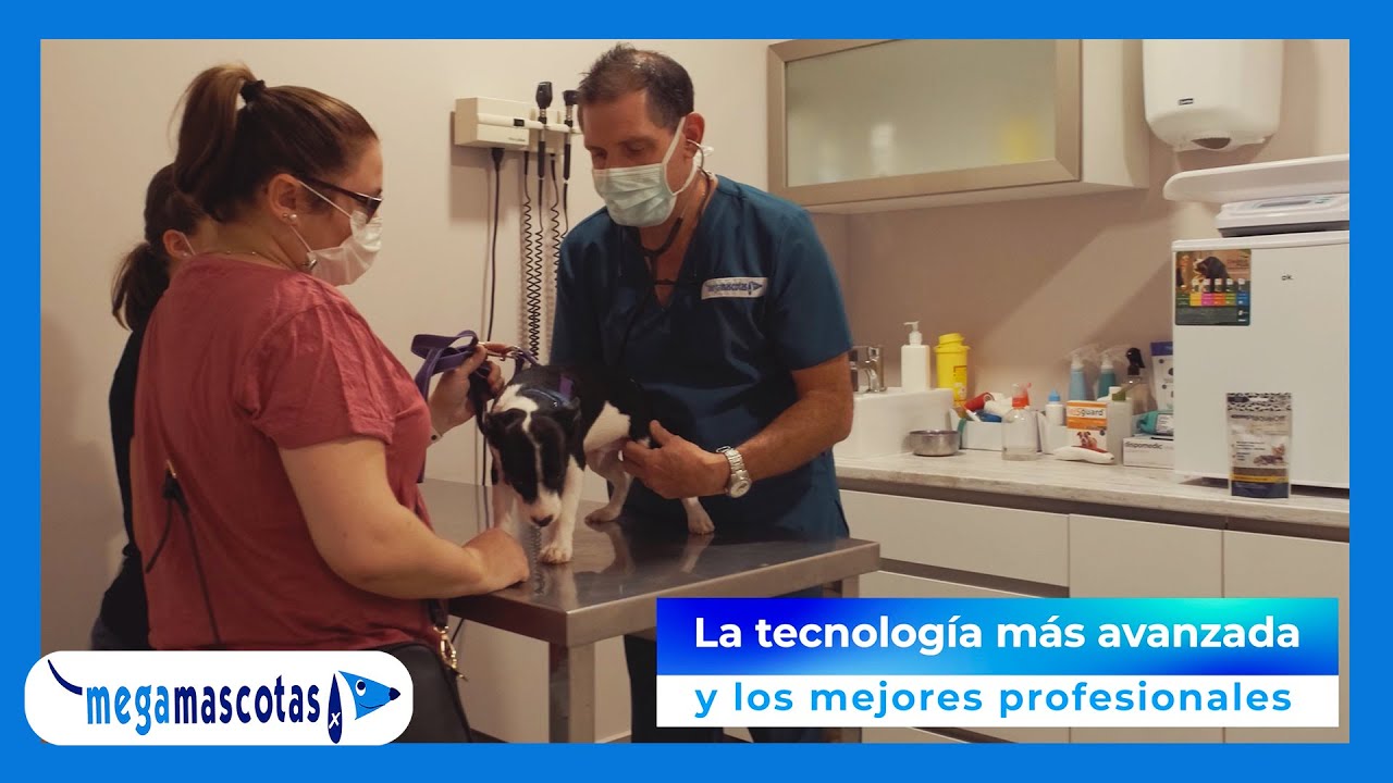 MEGAMASCOTAS - Centro Cl&iacute;nico Veterinario con Urgencias 24h