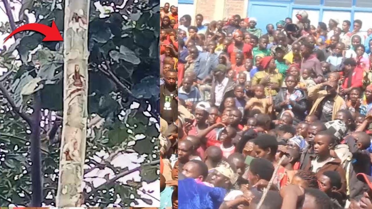 MUSANZE: #BIKIRAMARIYA YIMUKIYE MU KINDI GITI NYUMA Y'UKO  BATEMYE IGITI YABANJE KUGARAGARAMO