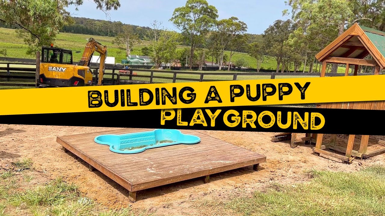 Building a Puppy Playground