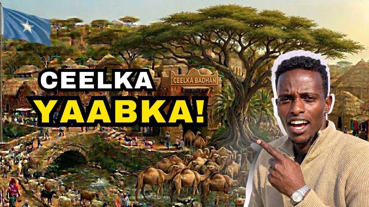 Ceelka Badhan | Badhan well 